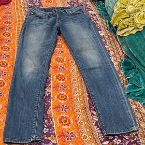 Lucky Brand Women's Skinny Leg Blue Jeans